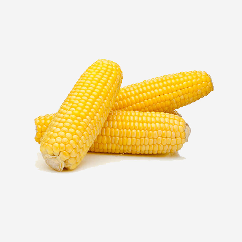 Sweet-Corn